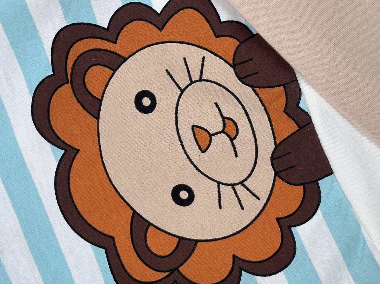 Kışlık Pamuklu Aslan Desenli Erkek Bebek 2li Takım