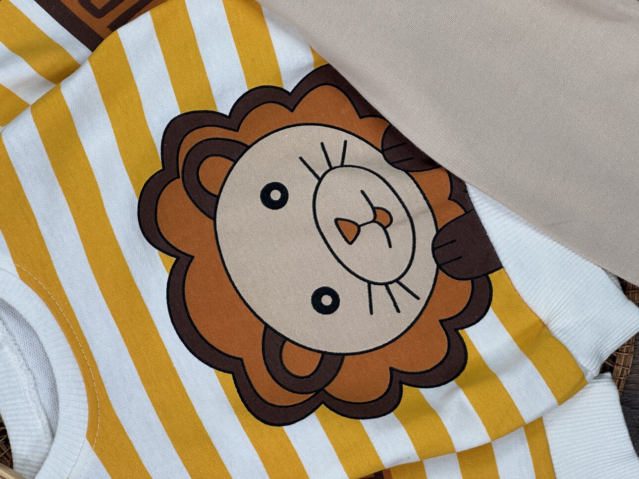 Kışlık Pamuklu Aslan Desenli Erkek Bebek 2li Takım