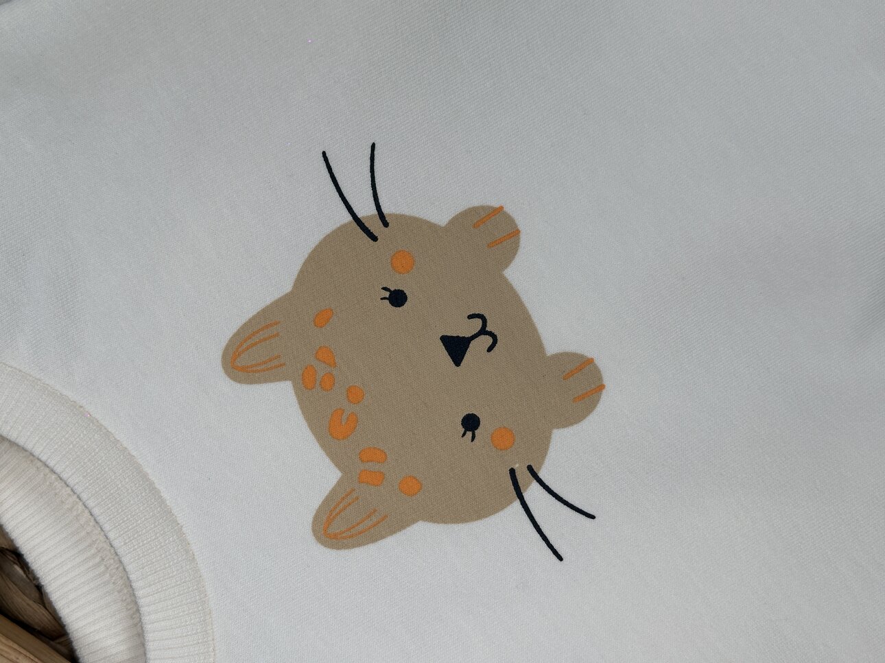 Pamuklu Kedi Desenli 2li Kız Bebek  Takım